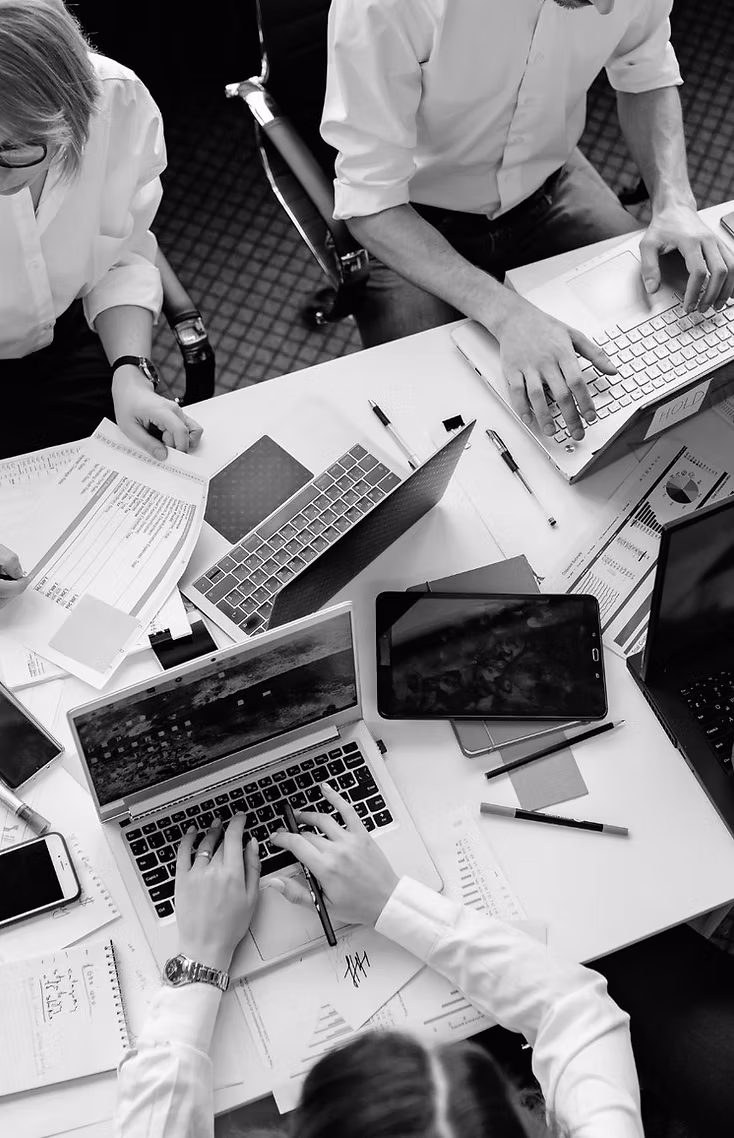 Brand & Digital — Studio Orris capability